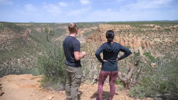 Manliga Och Kvinnliga Vandrare Med Utsikt Över Soda Canyon Mesa — Stockvideo