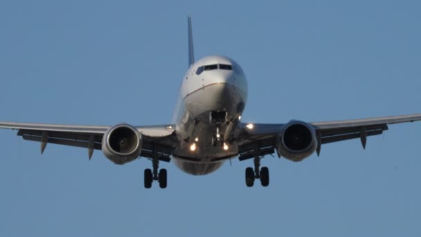 Boeing 737 United Airlines Aproxima Câmera Durante Pouso — Vídeo de Stock