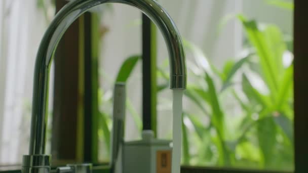 Close Beautiful Faucet Bathroom Background Full Green Trees — 비디오