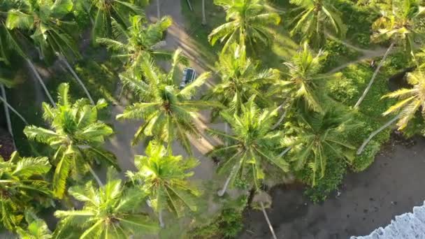 White Camper Van Parked Black Sand Beach Coconut Tree Field — Video Stock