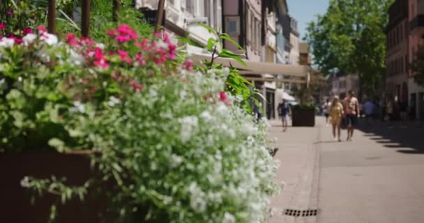 Couples Holding Hands Walking Street Popular Shopping Area Colmar France — Stock Video