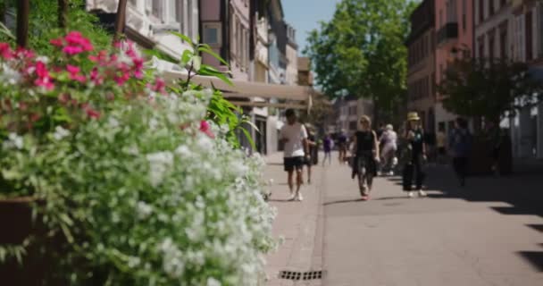Persone Che Camminano Strada Nella Famosa Zona Commerciale Colmar Francia — Video Stock