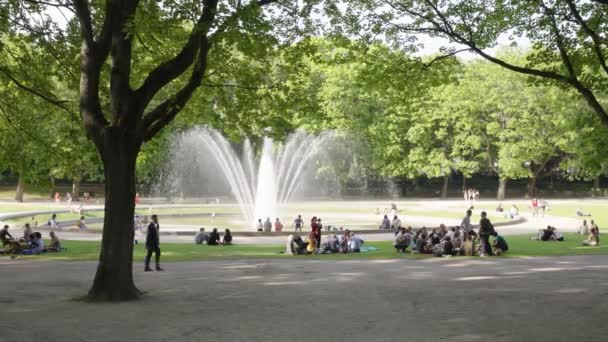 Люди Гуляють Пікнік Вулиці Влітку Безтурботний Час Громадському Парку Фонтаном — стокове відео