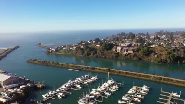 Harbor Jetty Brookings Oregon Drone View Pacific Ocean Horizon — 图库视频影像