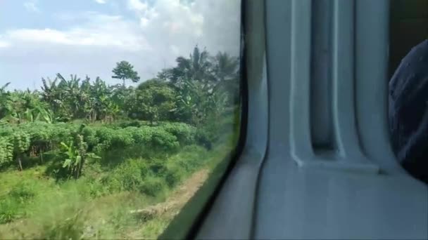 Beautiful View Tropical Fields Window Train Sukabumi West Java Indonesia – stockvideo