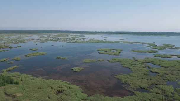 Jurmala Latvia Drone Aerial Flight Bird View Swamp Kaniera Lake — Stock Video