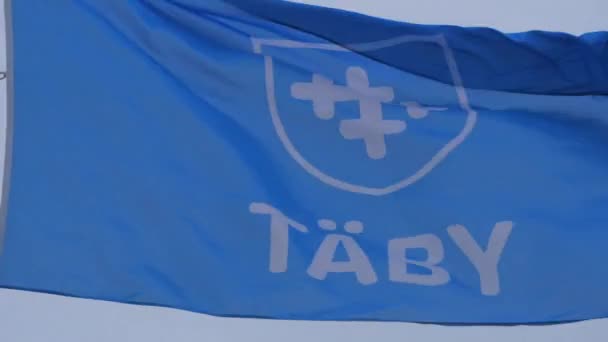 Footage Shot Displaying Logo Tby Municipality Kommun Blue Flag Swedish — Stockvideo