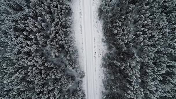 Ascending Aerial View Country Road Forest White Snow — Vídeo de Stock