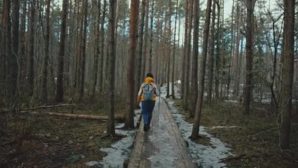 Female Hiker Walks Forest Wooden Path Shot — Vídeo de Stock
