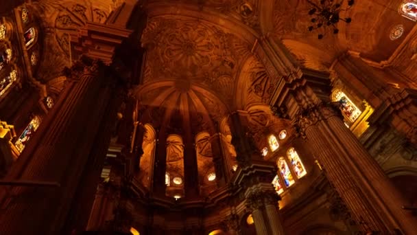 Looking Ceiling Mlaga Cathedral — Wideo stockowe