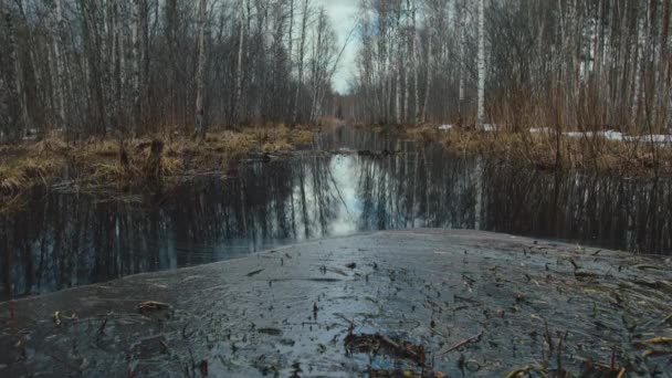 Slow Tilt Reveal Pond Forest Winter — 图库视频影像