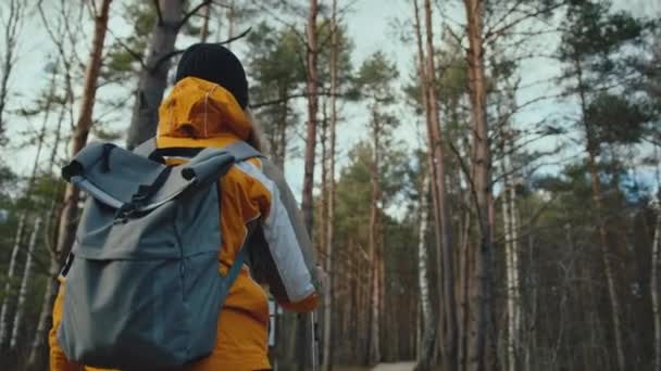 Female Hiker Walks Forest Follow Slow Motion — Vídeo de Stock