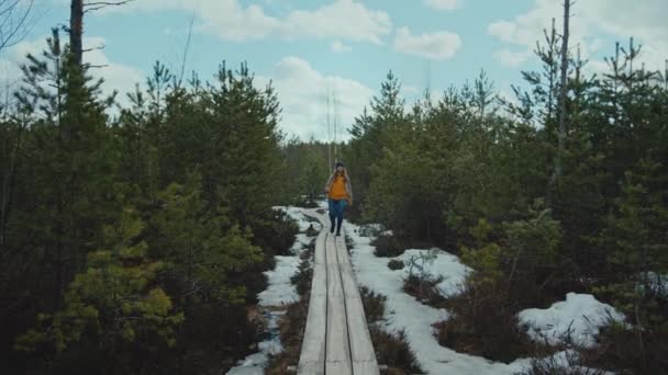 Female Hiker Walks Forest Path Camera — 비디오