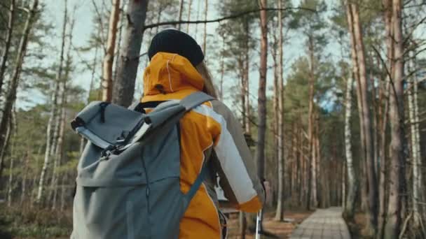 Female Hiker Walks Forest Information Sign Slow Motion — Stok Video