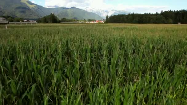 Random Beautiful Village Filmed Countryside Slovenia Background Stunning Mountain Range — ストック動画