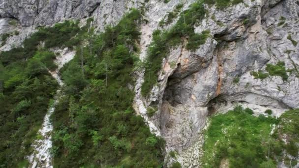 Логарская Долина Словении Одна Самых Красивых Альпийских Ледниковых Долин Найденных — стоковое видео