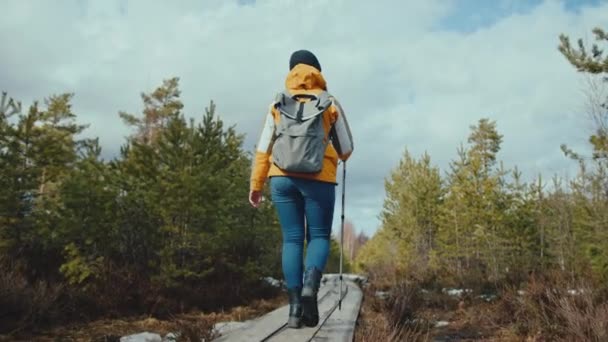 Female Hiker Walks Forest Slow Motion Shot — Stockvideo