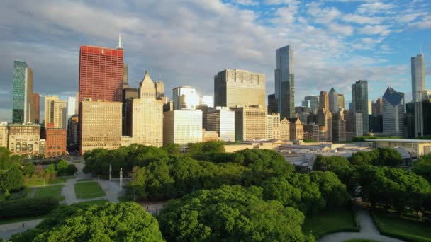 Drone Green City Park Chicago Skyline Cloudy Morning Sky — ストック動画