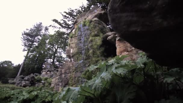 Small Waterfall Garden Surrounded Nature — Wideo stockowe