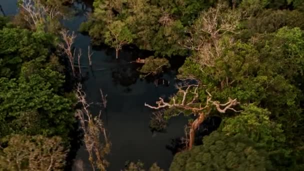 Spotting Boat Amazon River Helicopter Rainforest — стокове відео
