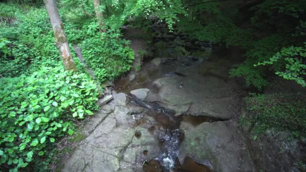 Річка Лісі — стокове відео