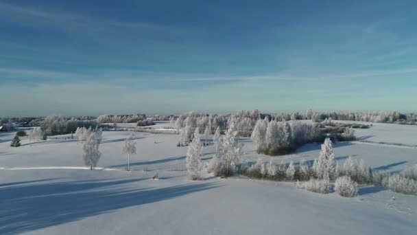 Snowscape Remote Terrain Lush Trees Wintertime Aerial Drone Shot — Video