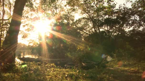 Boat Docked Shoreline Amazon River Sunset Static View — Stock video