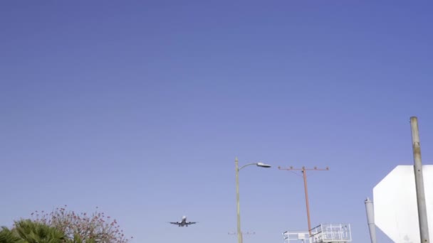 Low Angle Shot Jet Airliner Flying Overhead Landing Sunny Day — Video