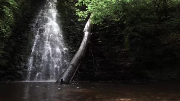 Perfect Shot Small Calm Waterfall Running Water — Vídeo de Stock