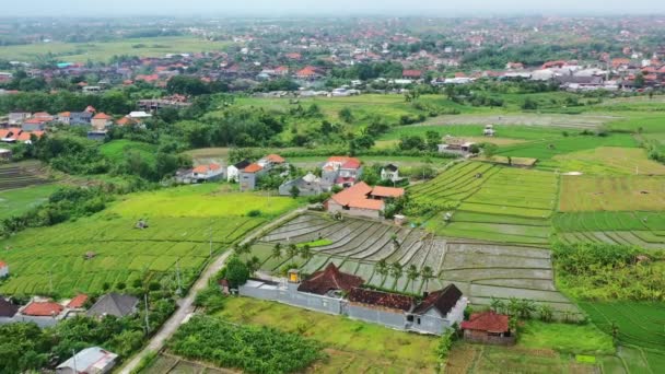 Flooded Rice Fields Homestay Canggu Bali Cloudy Day Aerial — Stock video