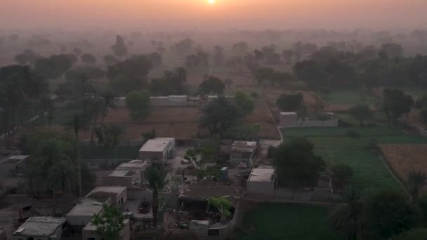 Aerial Flying Morning Mist Punjab Rural Landscape Golden Orange Sunrise — Video