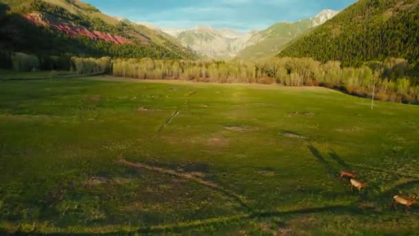 Telluride Colorado Usa Aerial Drone Shot Flying Beautiful Green Rocky — Stockvideo