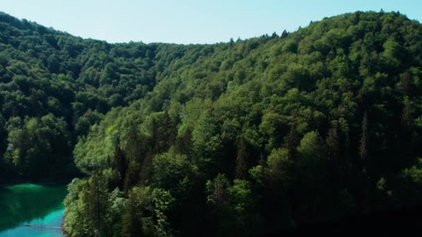 Verdant Forest Plitvice Lakes National Park Summer Croatia Aerial — Stockvideo