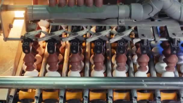 Process Sorting Chicken Eggs Suction Machine Based Predetermined Size Standards — ストック動画