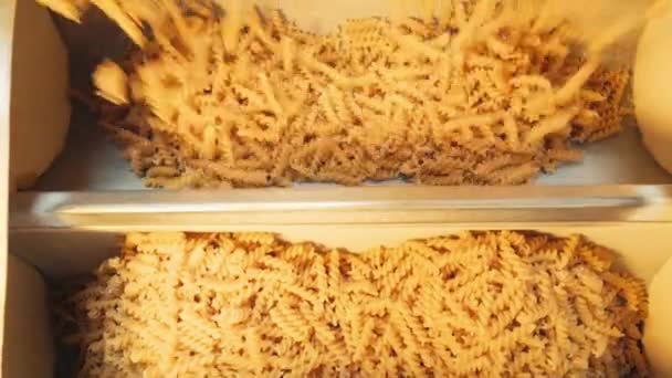 Pasta Factory Pasta Production Stages Close Dry Macaroni Spilling Machine — Vídeo de stock
