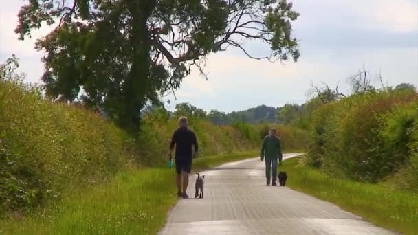 Two Adult Males Dog Walking English Country Lane Warm Sunny — стокове відео