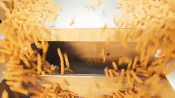 Pasta Factory Pasta Production Stages Close Dry Macaroni Spilling Machine — Αρχείο Βίντεο