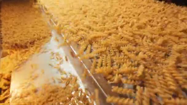 Pasta Factory Pasta Production Stages Close Dry Macaroni Spilling Machine — Vídeos de Stock