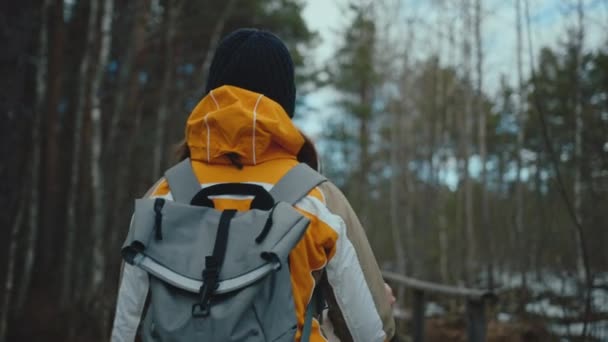 Woman Hikes Forest Takes Phone Out Slow Motion — Video Stock