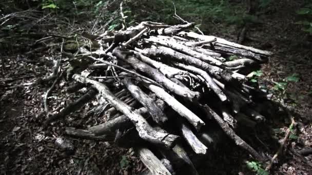 Pile Branches Stacked Boy Scouts Forest — Stockvideo