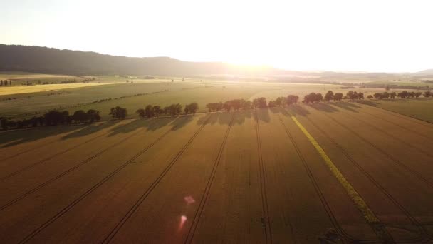 Epic Aerial View Fields Foot Mountain Sunset — Vídeo de Stock