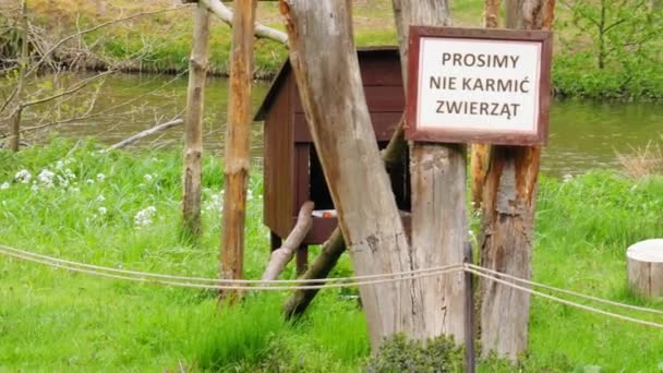 Please Feed Animals Sign Polish Language Nailed Tree Animal Park — Video Stock