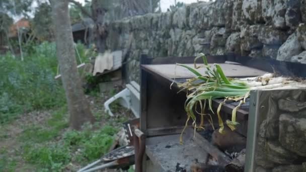 Leak Plant Wood Fired Barbecue Rustic Garden Mallorca Spain — Vídeo de Stock