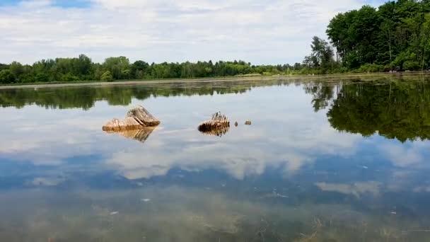 Laurel Creek Conservation Area Seen Kayak Calm Day — Stock videók