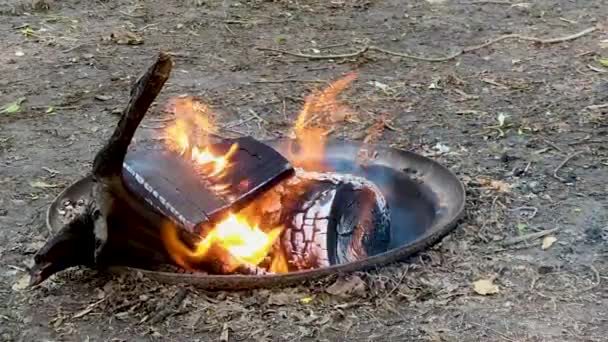 Closeup Campsite Fire Pit Full Log Section Burning — Stockvideo