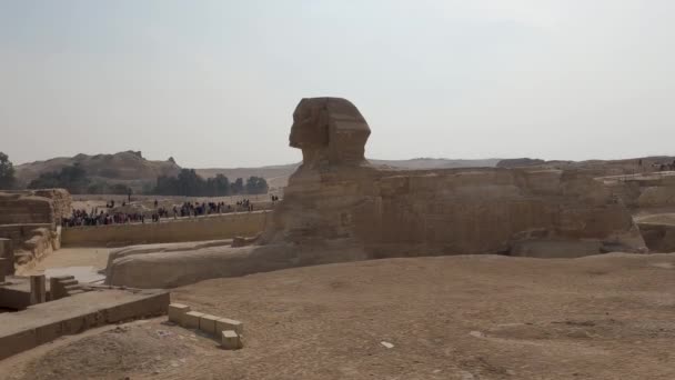 Side View Ancient Great Sphinx Famous Tourist Attraction Egypt — 图库视频影像