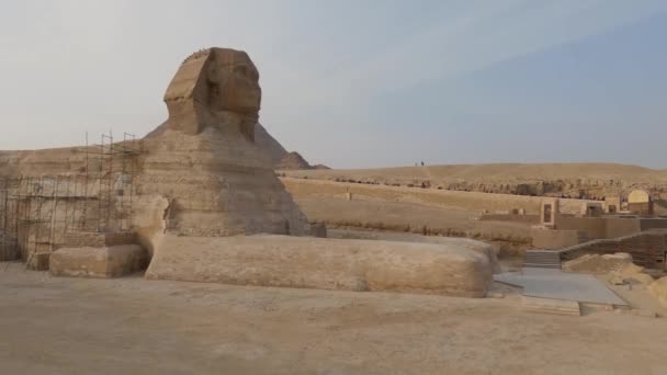 View Great Sphinx Giza Mythical Creature Ancient Civilization — стоковое видео