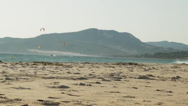 Kiteboarders Colorful Kites Sailing Waves Tarifa Beach — 비디오