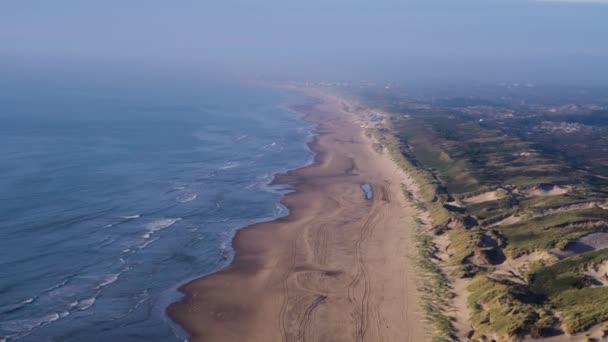 Dynamic Aerial Footage Dunes Meijendel Which Largest Contiguous Dune Area — Stok Video