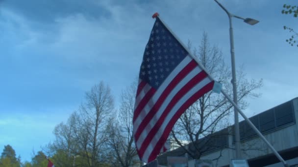 Flag Usa Stars Stripes Flies Diagonally Sunny Spring Park — Stockvideo